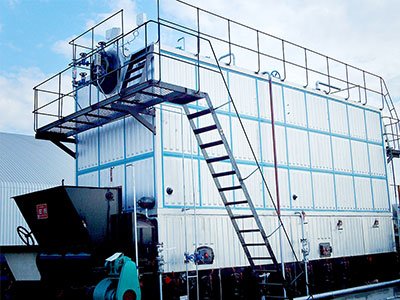 Malaysia 20T biomass chain boiler