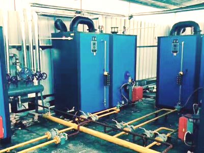 Morocco 2000kg biomass/gas steam generator units