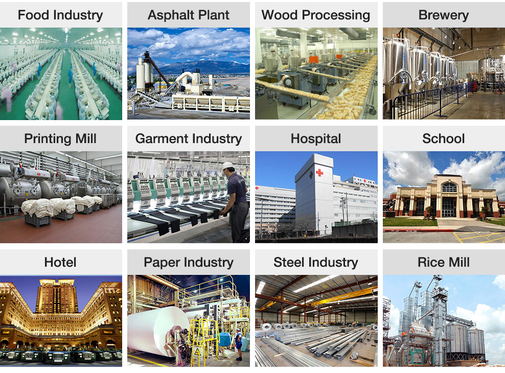 biomass steam boiler